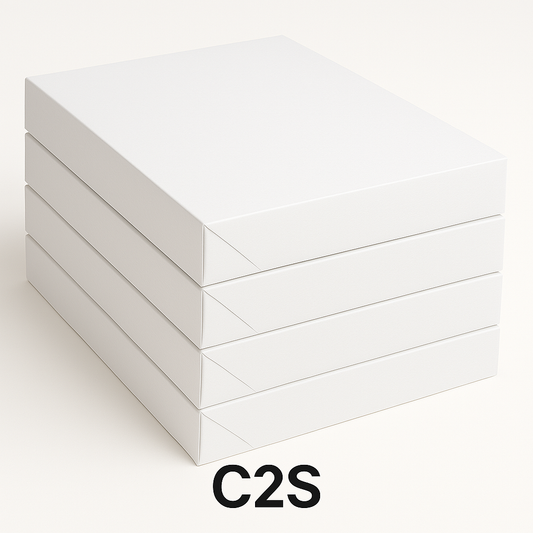 C2S PREMIUM ART 350 GRAMOS - 100 pl
